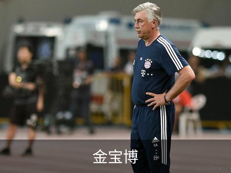 了解金宝博