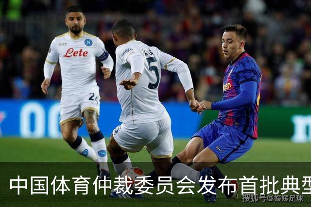中国体育仲裁委员会发布首批典型案例