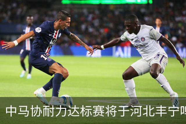 中马协耐力达标赛将于河北丰宁鸣枪 数十家专业马术俱乐部角逐
